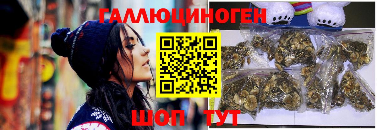 Псилоцибиновые грибы прущие грибы Сунжа