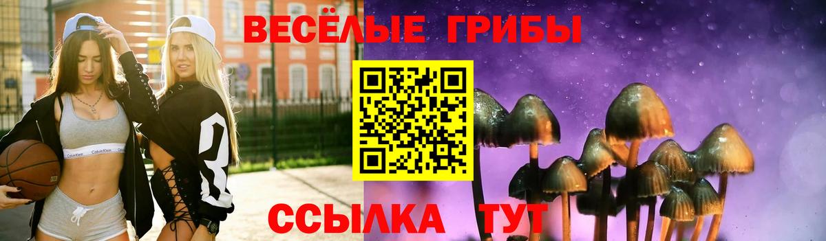 Галлюциногенные грибы Psilocybine cubensis  что такое наркотик  Сунжа  Вход с VPN 