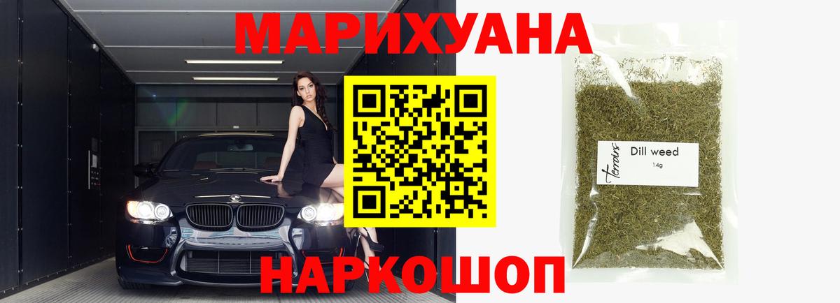 Конопля планчик Сунжа